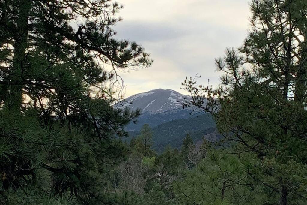 Twin Pines Casita - Big Yard, View, Porch, Hot Tub, & Charm Villa Ruidoso Eksteriør bilde